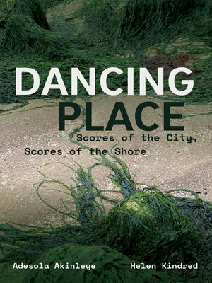cover image of Dancing Place